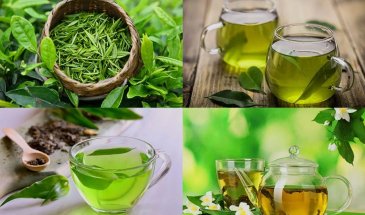 Науково доведені корисні властивості зеленого чаю