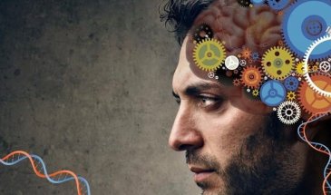 Навигатор по ментальному здоровью